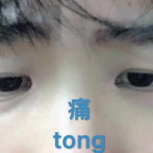 香港三级黄片电影人与狗交配
