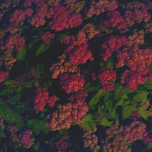 香港三级黄片电影人与狗交配
