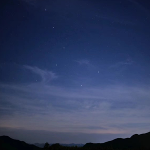 香港三级黄片电影人与狗交配
